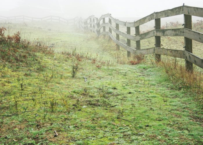 Susret sa psihologom