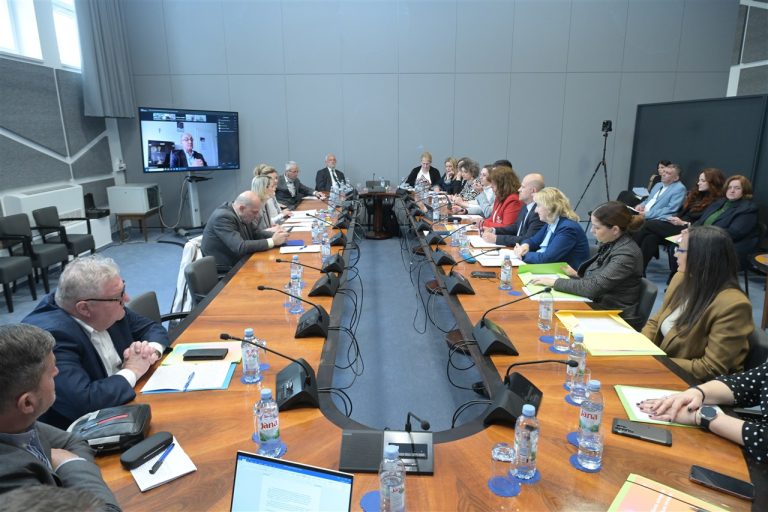 Panoramski prikaz sjednice s većim brojem sudionika okupljenih oko konferencijskog stola; u pozadini se vidi ekran s udaljenim govornikom i visoki prozori koji osvjetljavaju prostor.